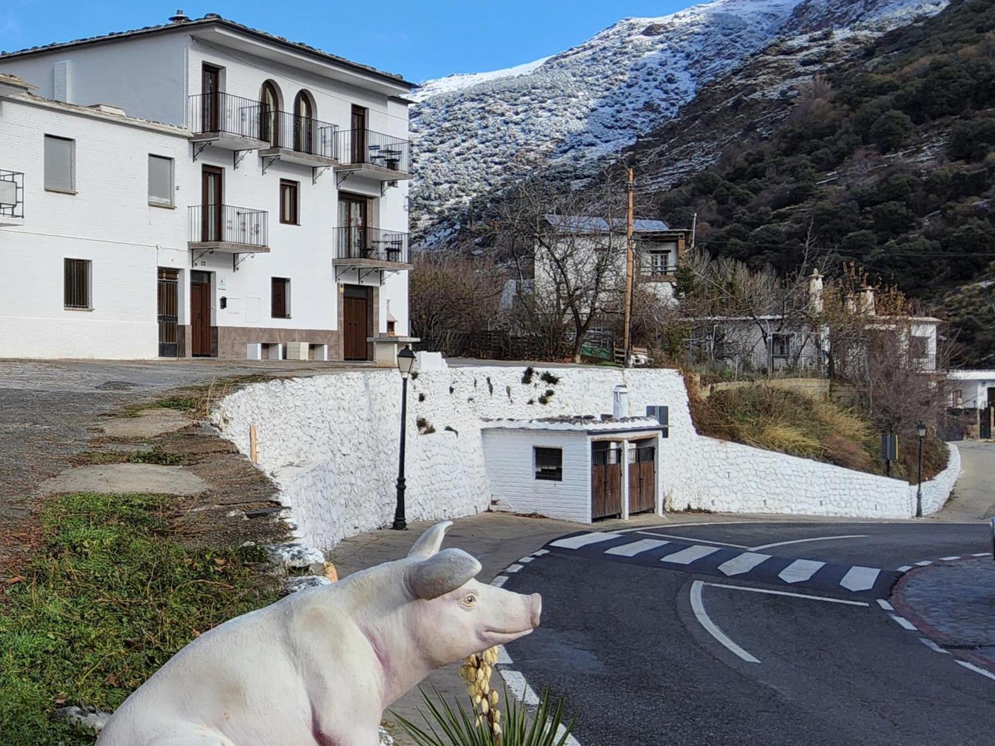 Alojamiento Rural Casa Clara La Pescaora Trevélez Esterno foto